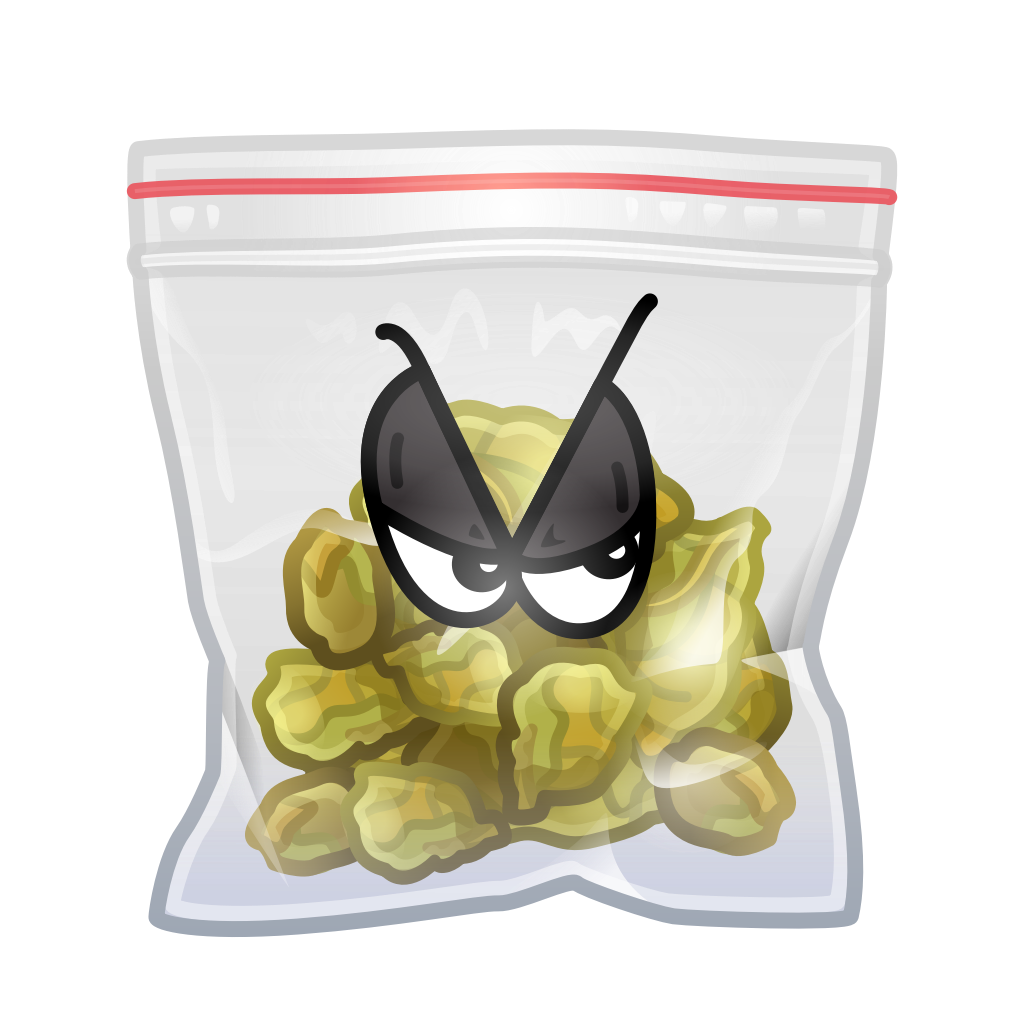 Swag Bag